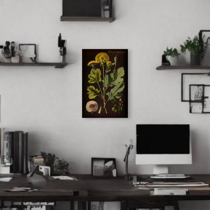 Dark Dandelion Canvas Print - Herbal Art for Home or Office - Apothecary Decor for wholesale by Print Pothecary