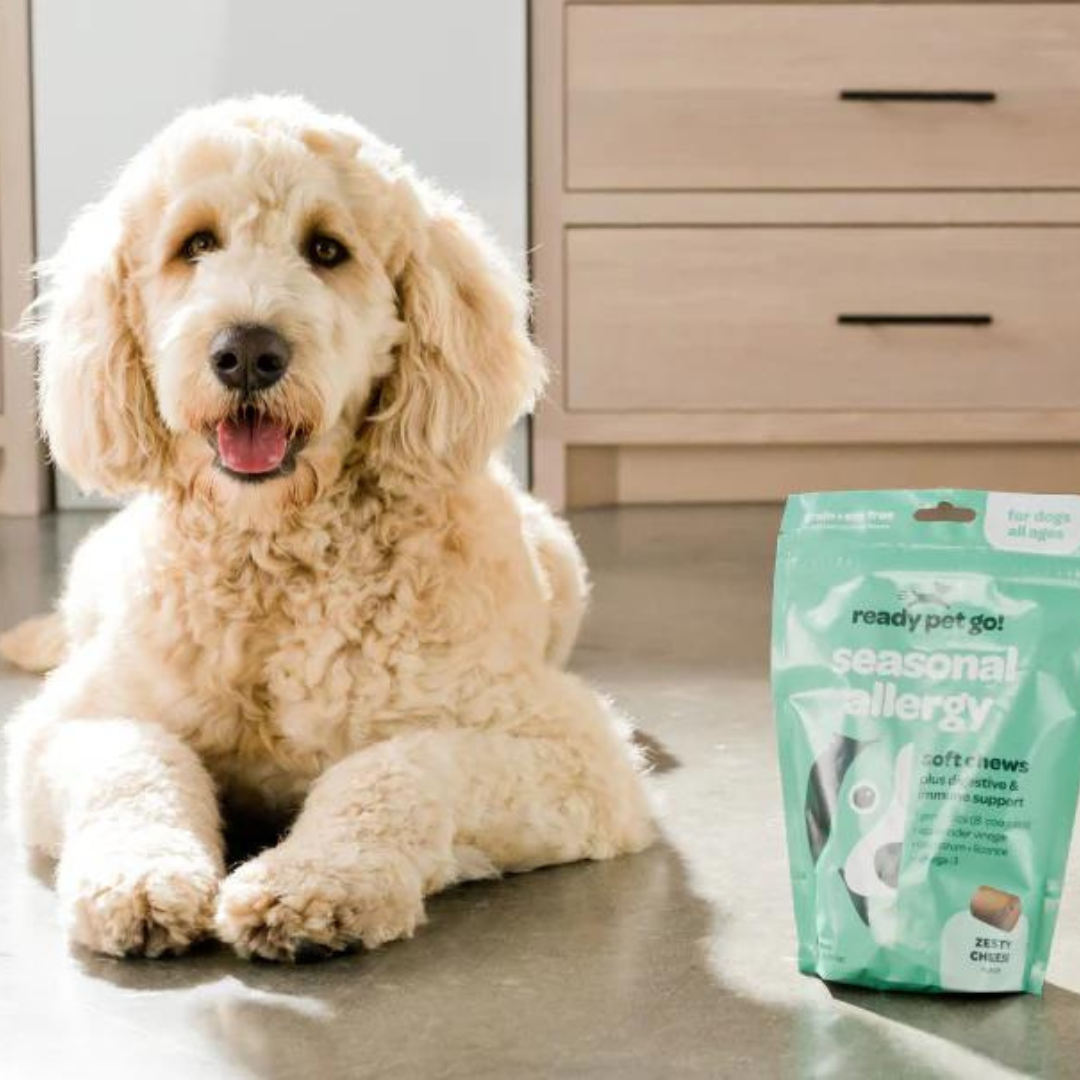 Ready Pet Go - Wholesale Pet Supplement - Dog - All-Natural Seasonal Allergy Relief Chews for Dogs2