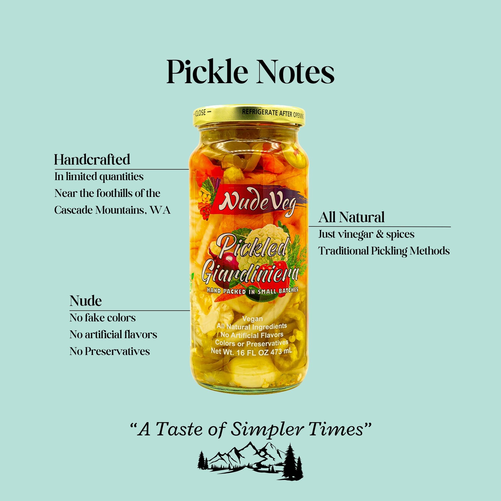Ayurveg | NudeVeg Pickles - Wholesale Pickled Vegetables - Pickled Giardiniera | Farm Fresh Mixed Vegetables | 16oz1