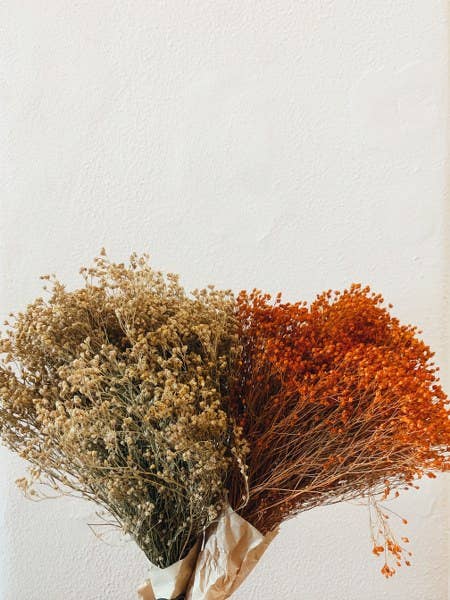 Uma Cantik – wholesale Dried/pressed flowers – Broom Bloom Natural Dried Flowers3