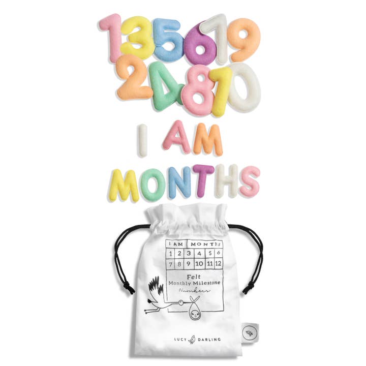 Monthly Milestone Felt Letters - Pastel for wholesale by Lucy Darling