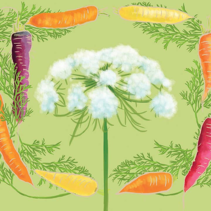 RFM-432 Karotte & Blume Kunstdruck für den Großhandel von Rigel Paper