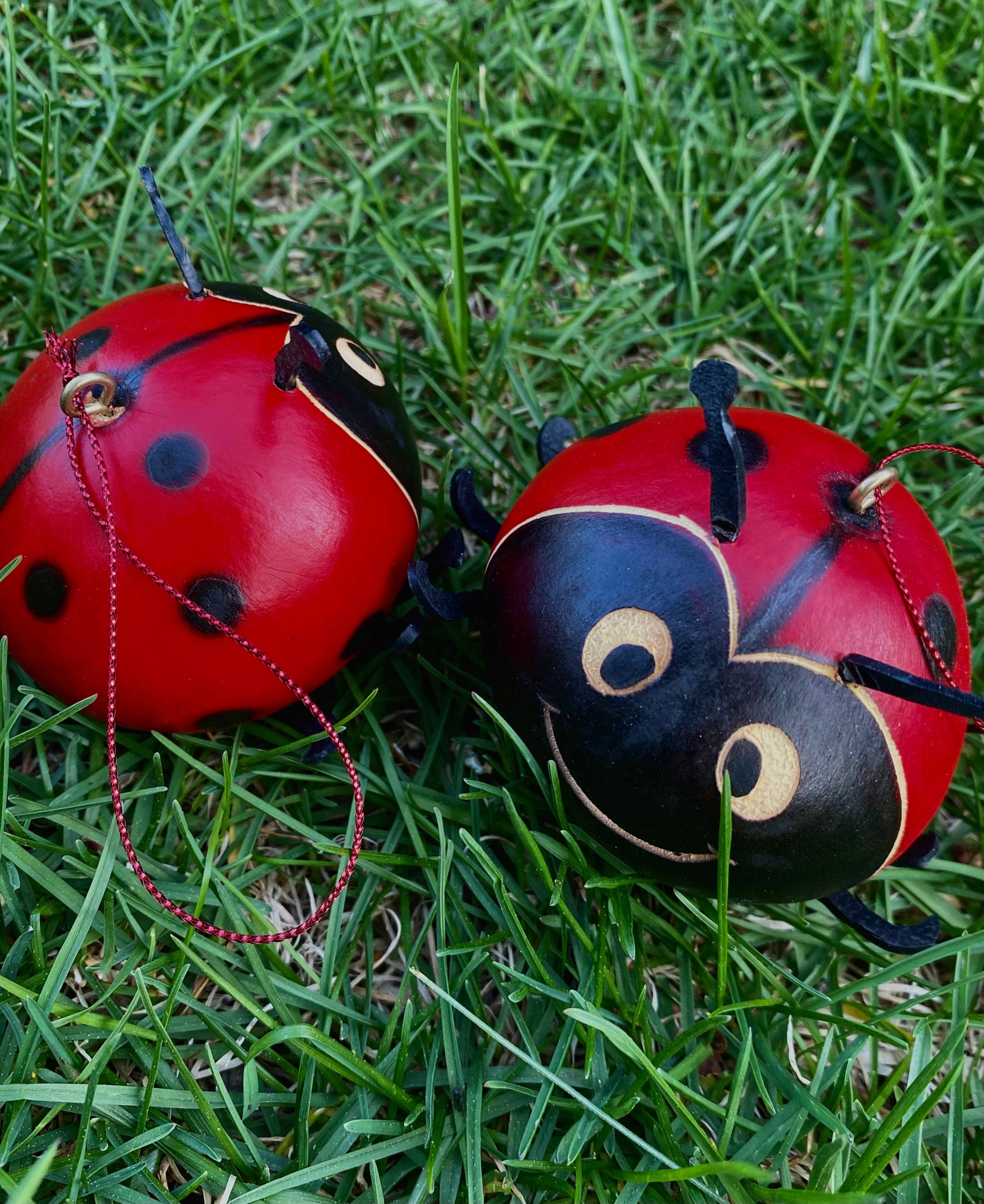 Blossom Inspirations – Großhandel Verzierung – Marienkäfer-Kürbis3