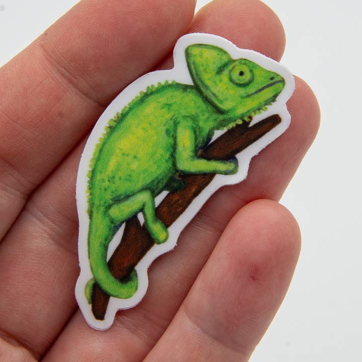 Veiled Chameleon Vinyl Sticker and other Purchase Wholesale camelion. Free Returns & Net 60 Terms on Faire trending on Faire.