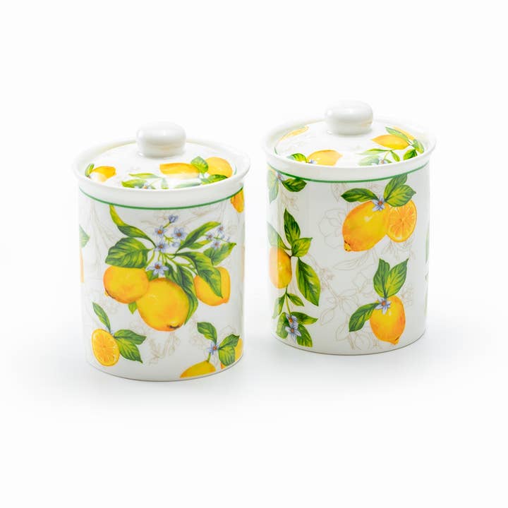 Grace Teaware - Vente Pots - Lot de 2 pots à épices en porcelaine fine Lemon Garden avec joint en silicone1