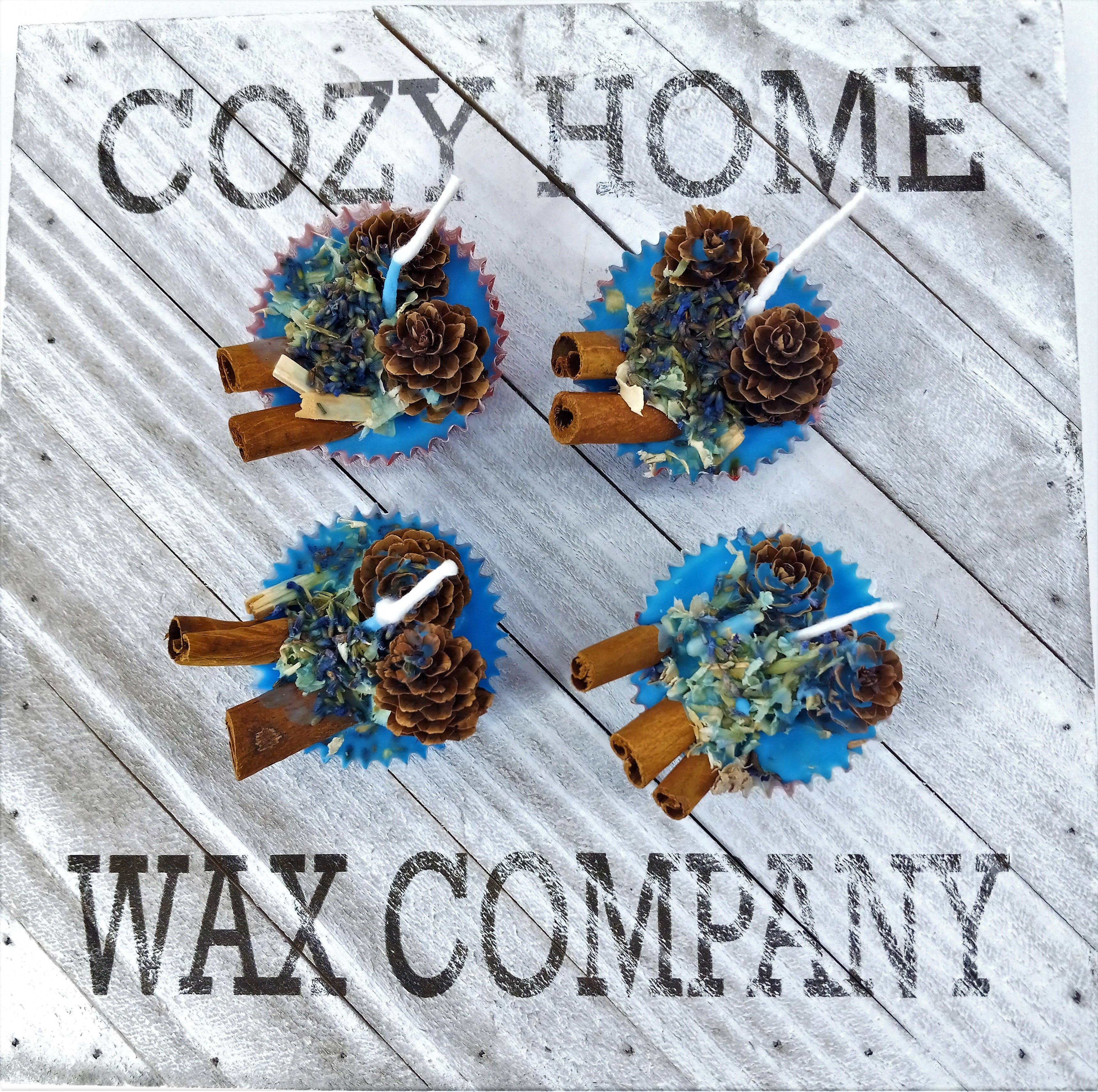 Cozy Home Wax Company - Wholesale Wax Melt - Alpine Cheer Wax Fire Starter 2.3oz