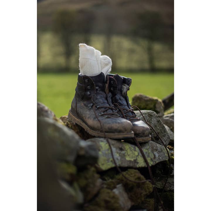 Alpaka-Socken mit gepolstertem Sohlenkomfort zum Wandern für den Großhandel von Paul James Knitwear