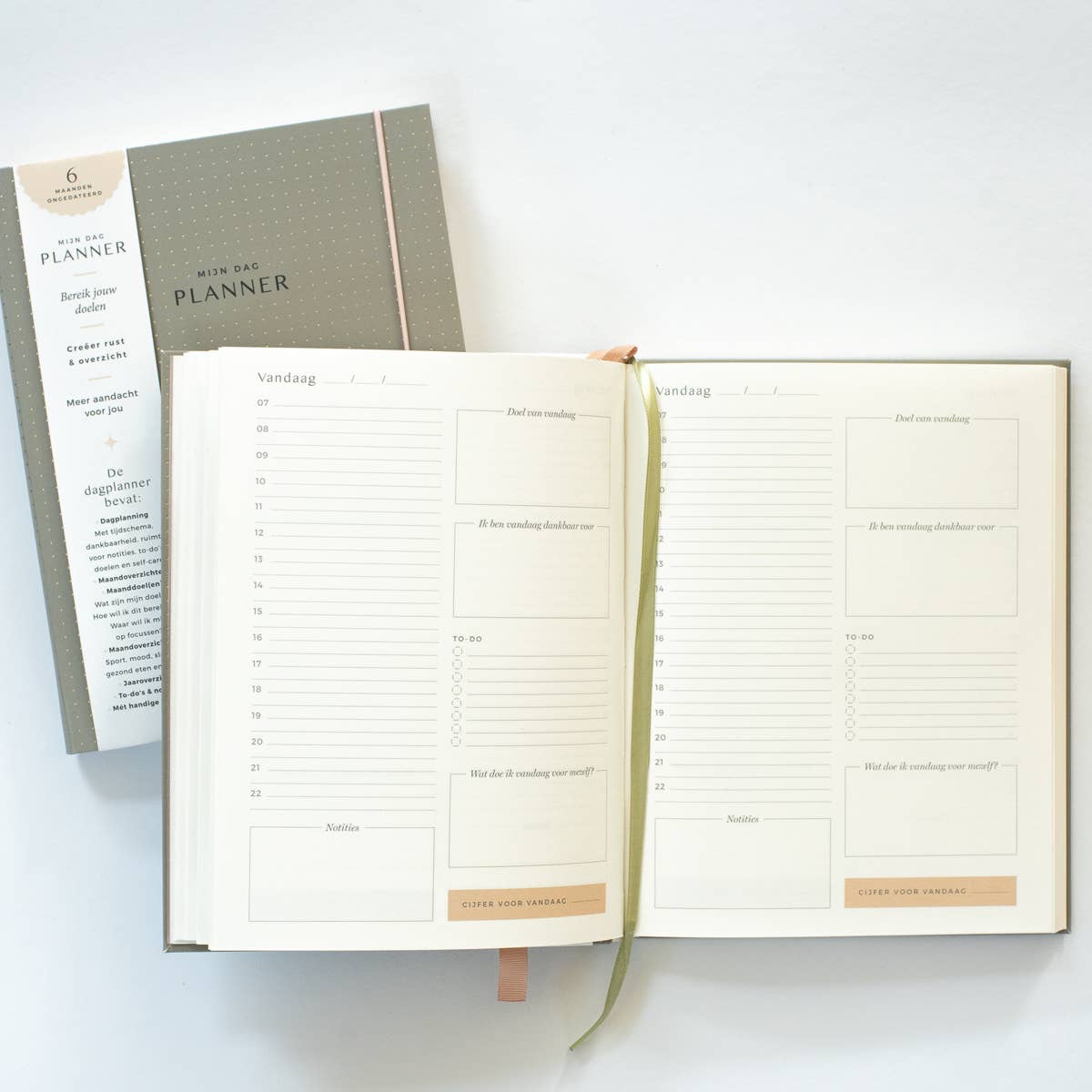 Beige Day planner - green for wholesale on Faire5
