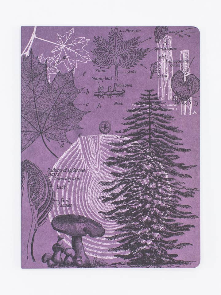 Carnet de notes à couverture souple Forêt au crépuscule ligné (Lot de 6) pour la vente par Cognitive Surplus