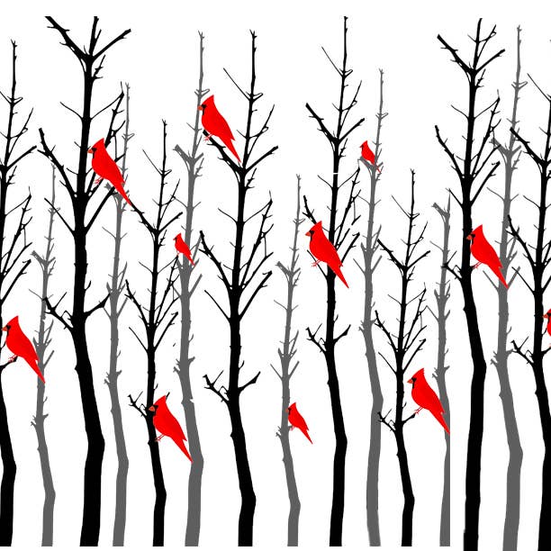 Andreas - Wholesale Jar Opener - Cardinal Forest1