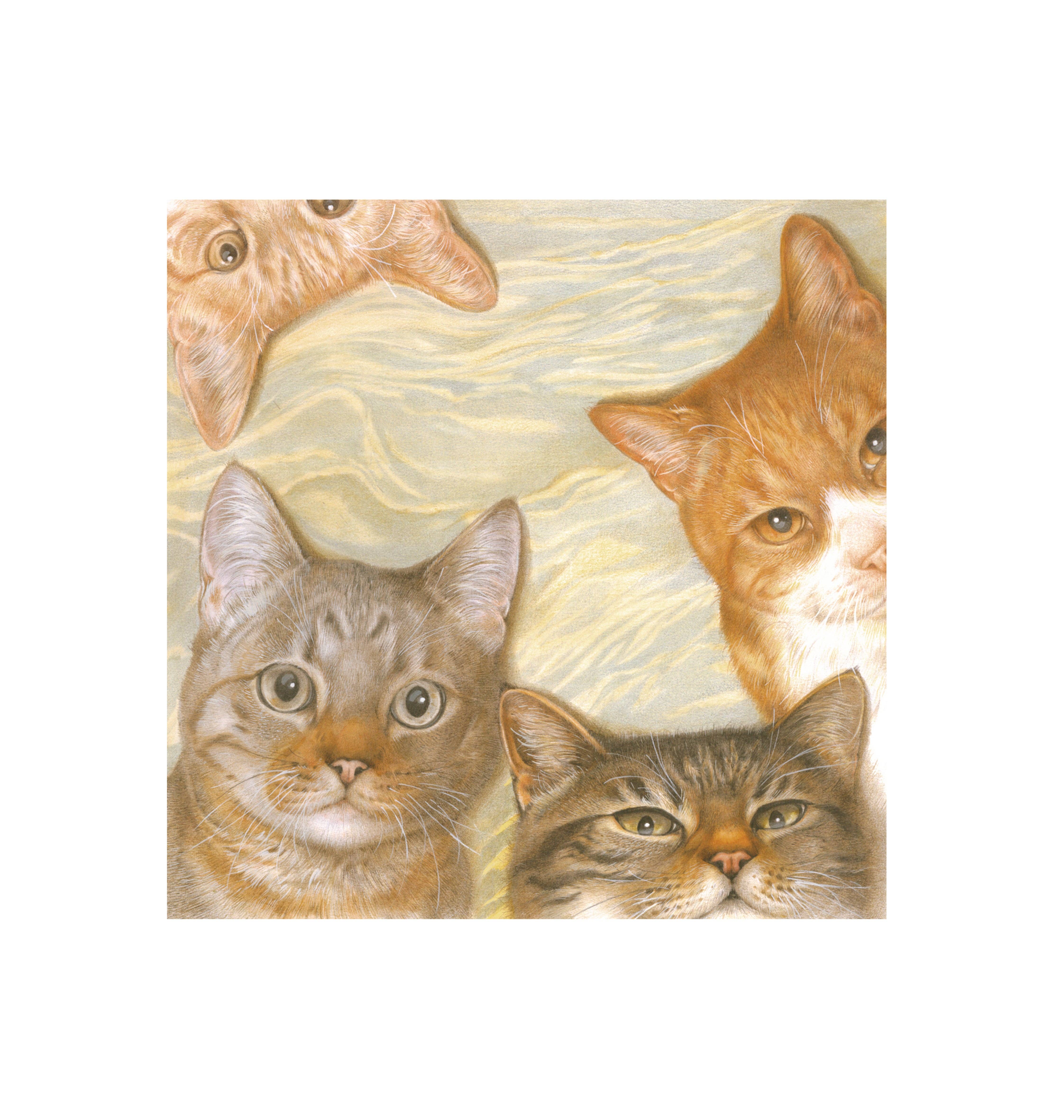 Animal Prints - Wholesale Tote Bag - Women's - Cotton shopping tote with print - Cat collage2