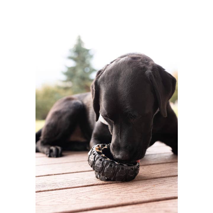 Spunky Pup - Vente Jouet à mâcher – chien - The Tire - Jouet en caoutchouc recyclé - FABRIQUÉ AUX ÉTATS-UNIS1