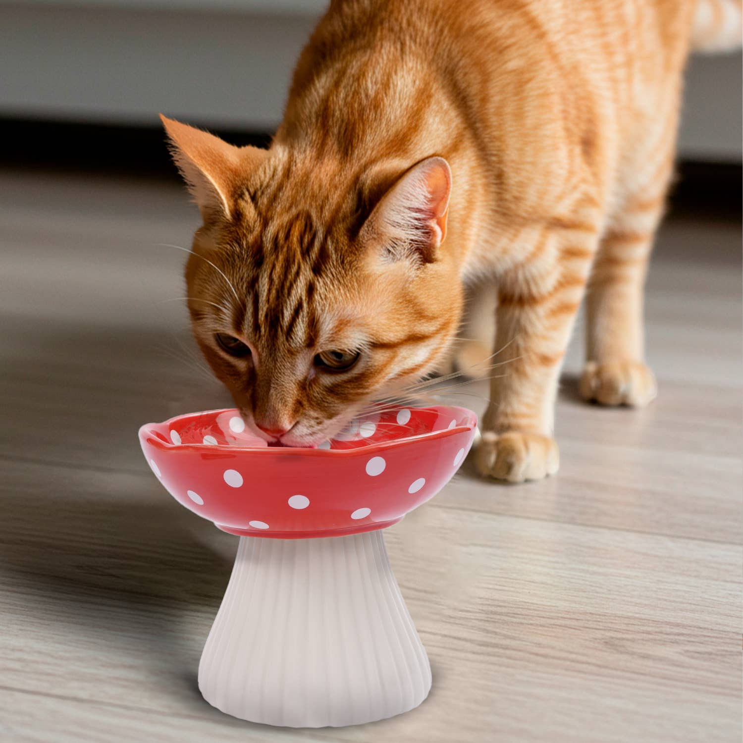 Precious Tails - Wholesale Pet Bowl - Cat/Dog - Mushroom Shaped  Stoneware Elevated Pet Bowl14