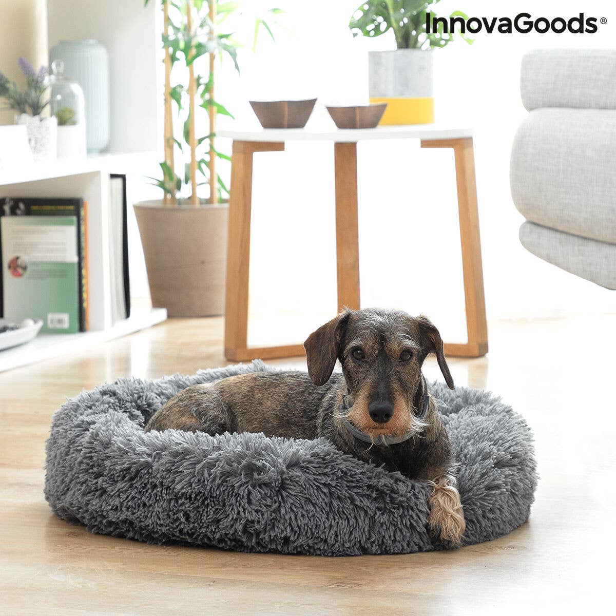 InnovaGoods - Venta al por mayor Cama - Gatos y perros - Cama Antiestrés para Mascotas Bepess InnovaGoods Ø 60 cm0