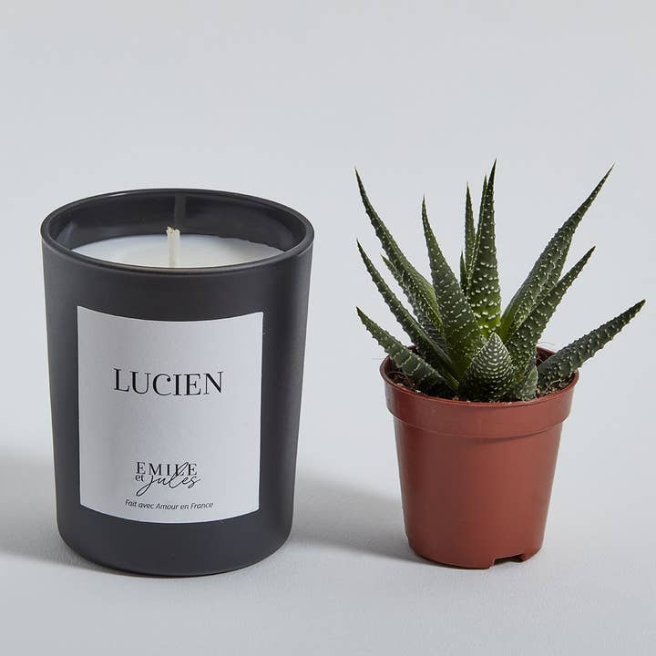 Emile et Jules - Vente Bougie en bocal - Bougie parfumée Bergamote Tabac Musc blanc + plante