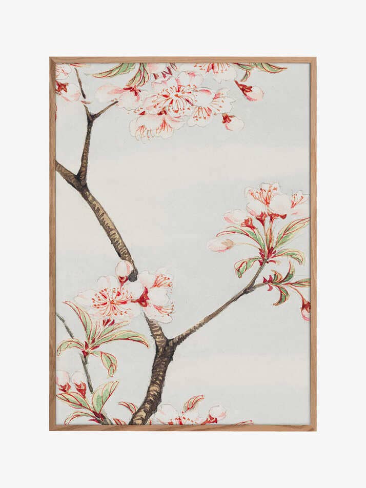 Sakura Kirsebær i perioden 1870–1880 for engroshandel hos Pictufy Wholesale