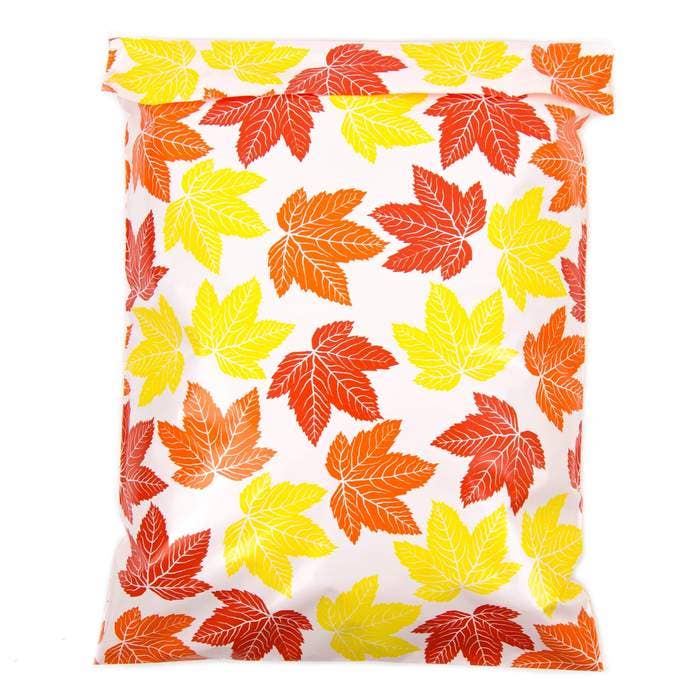 PLT Wholesale - Wholesale Envelopes - 10x13 Poly Mailers-Flat (Single)29