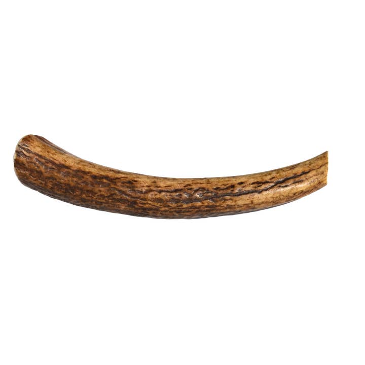 Woof Island - Wholesale Pet Chew Toy - Dog - Elk Antler (Medium) - Whole2
