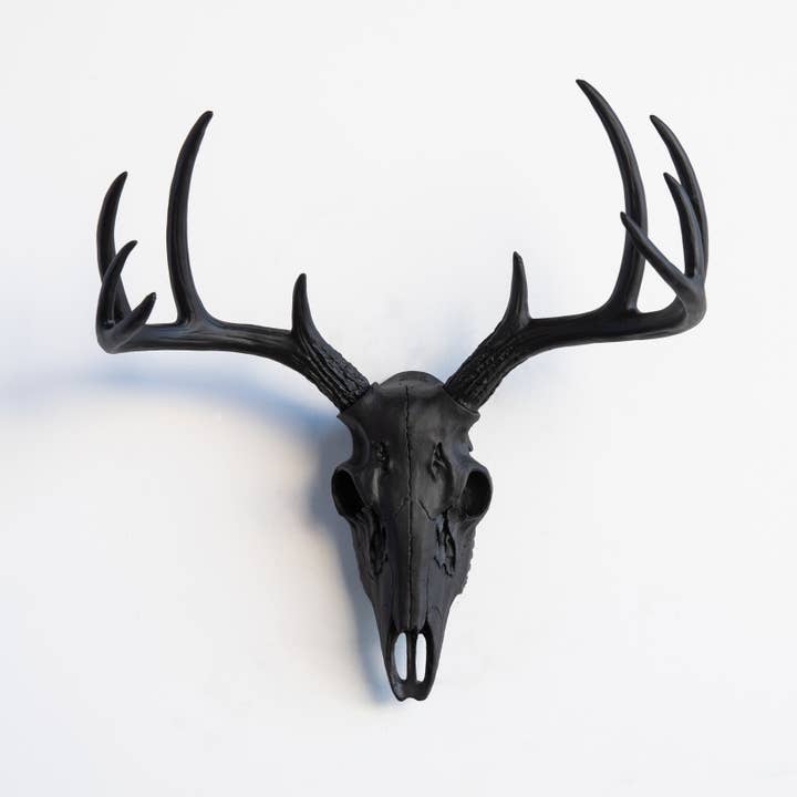 Near and Deer - Wholesale Wall Accent - Faux Mini Buck Skull Wall Mount7