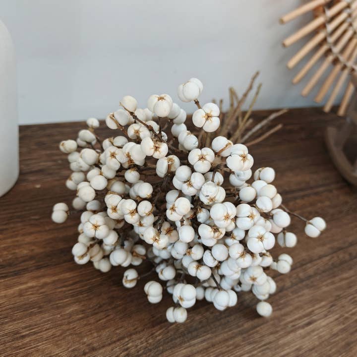 Talg Bessen - Gedroogde bloemen Witte vrucht voor huisdecoratie voor wholesale door ACNITE(We cover U.S. import duties)