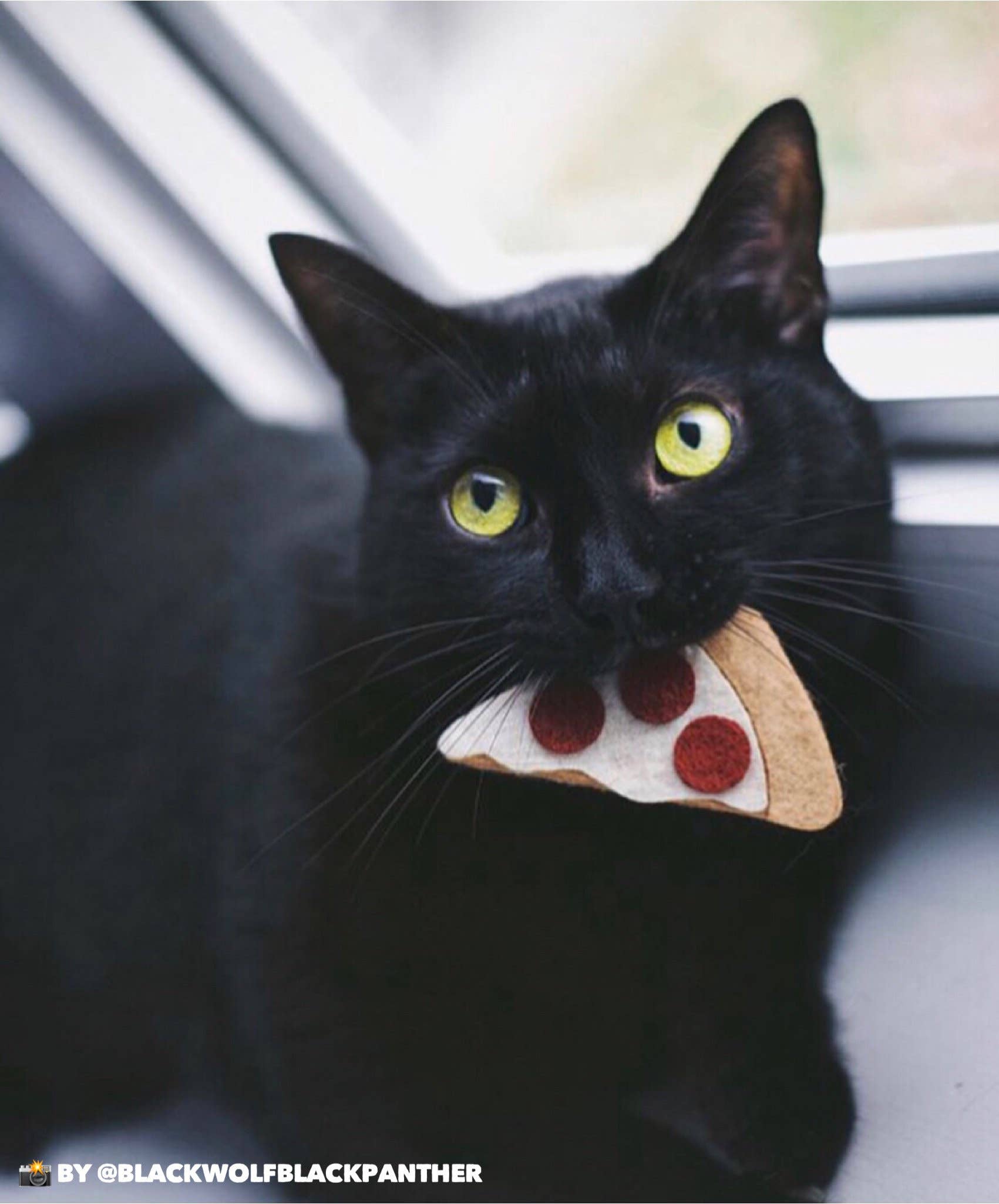 Housecat Club - Wholesale Pet Toy - Cat - Catnip Pizza Cat Toy3