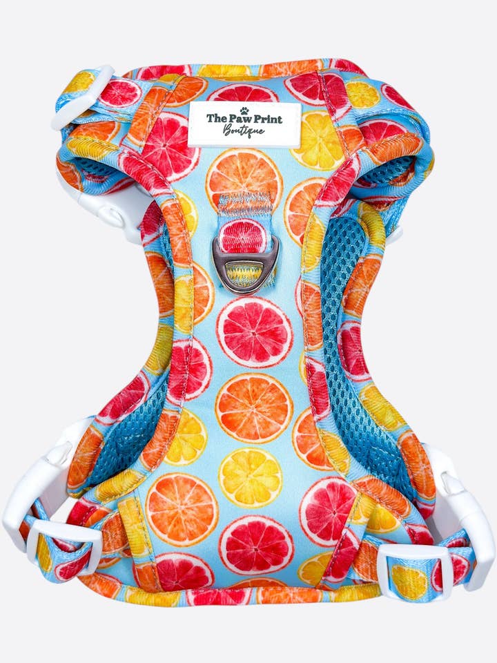 Aventuras de Apertar o Dia Arnês Paws por atacado de The Paw Print Boutique