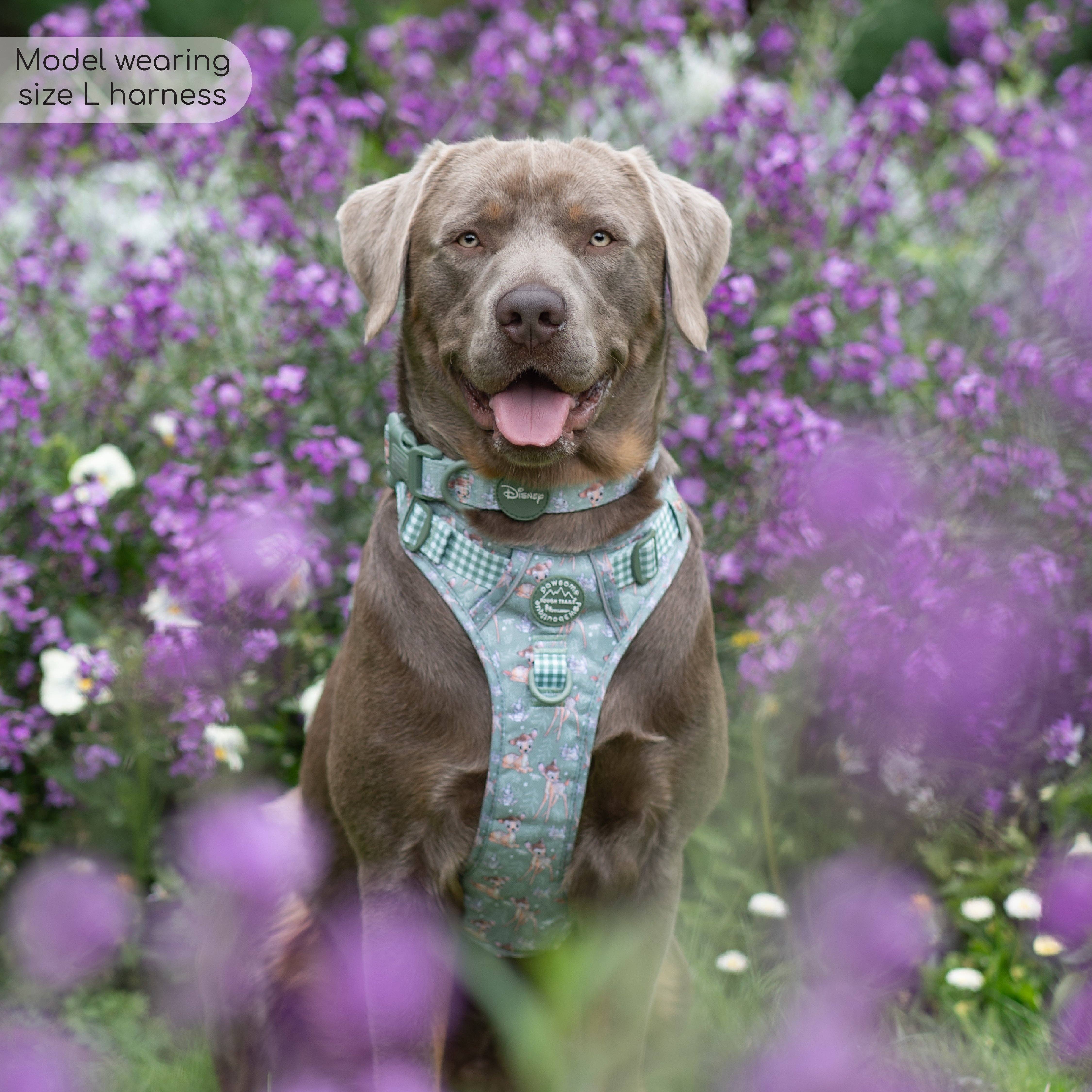 Pawsome Paws - Wholesale Tuig voor huisdieren - Hond - Disney© Tough Trails™ tuigje - Bambi en Stampertje9