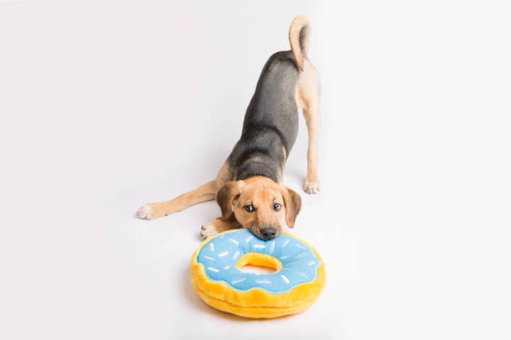 Pet Palette Distribution - Wholesale Pet Chew Toy - Dog - ZippyPaws Jumbo Donutz Blueberry5