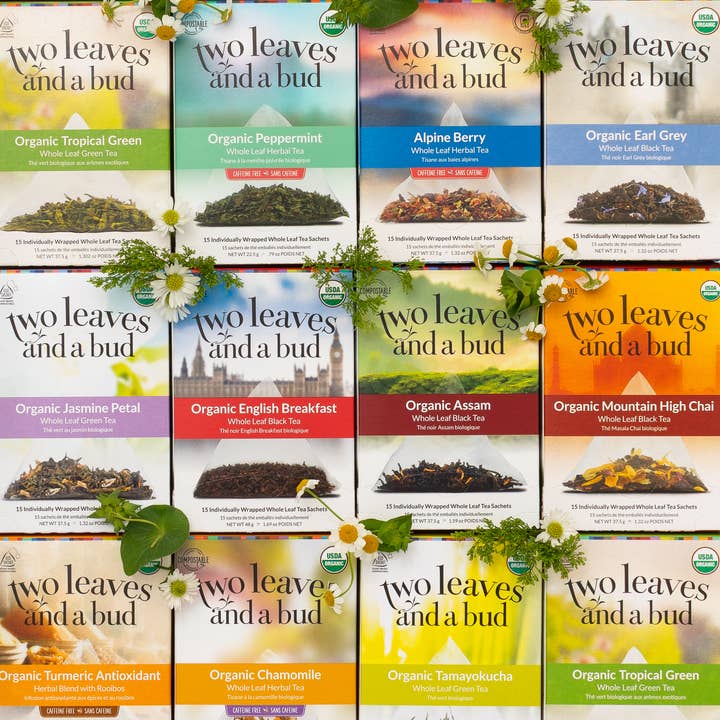 Two Leaves and a Bud - Wholesale Tea Bags - Two Leaves Retail Box Starter Kit