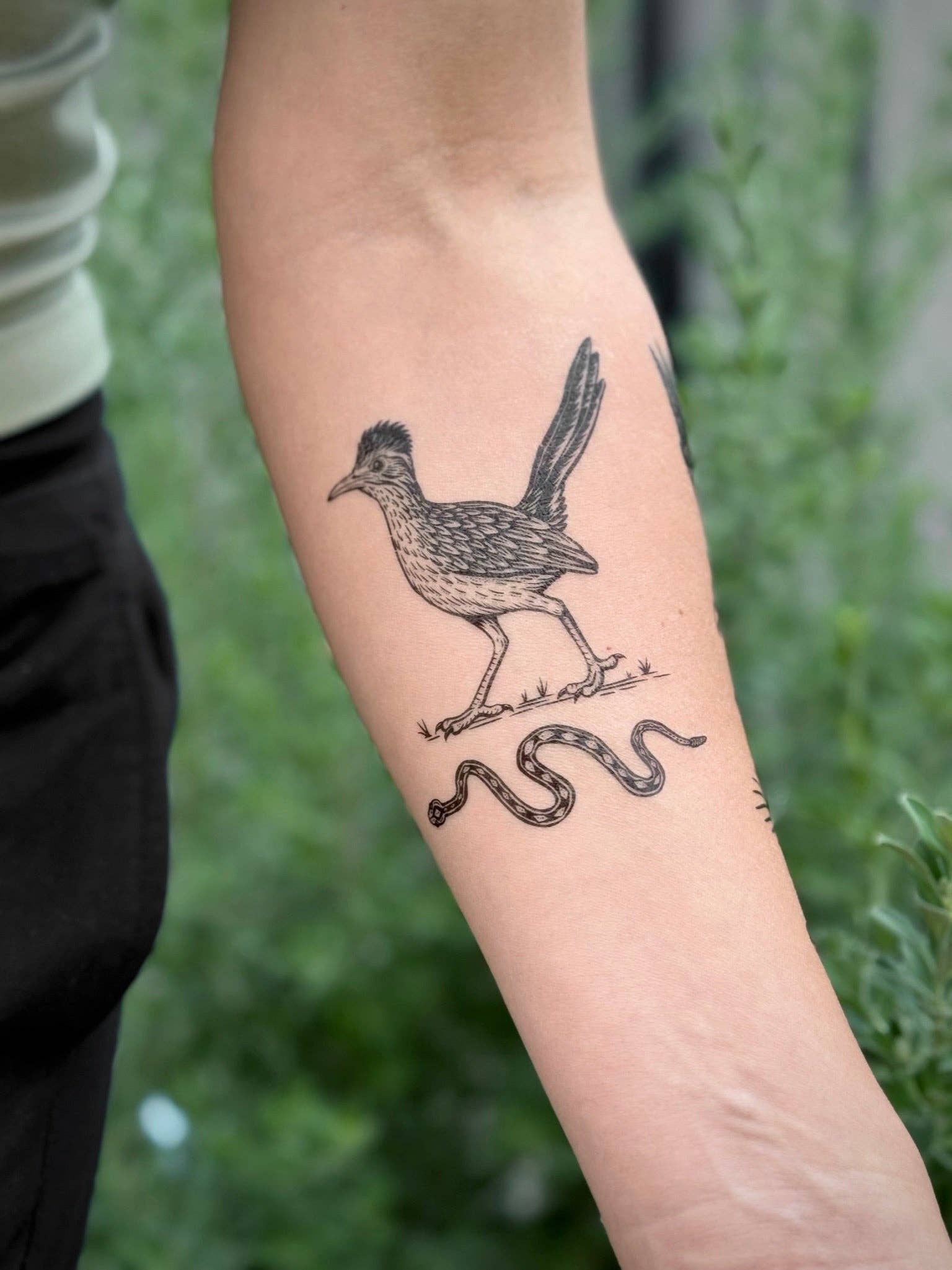 NatureTats - Wholesale Temporary Tattoo - Roadrunner Temporary Tattoo2