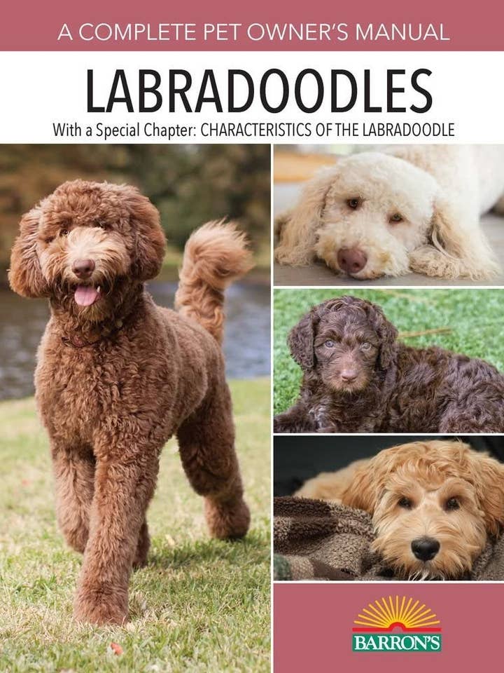 Labradoodles for wholesale by Sourcebooks