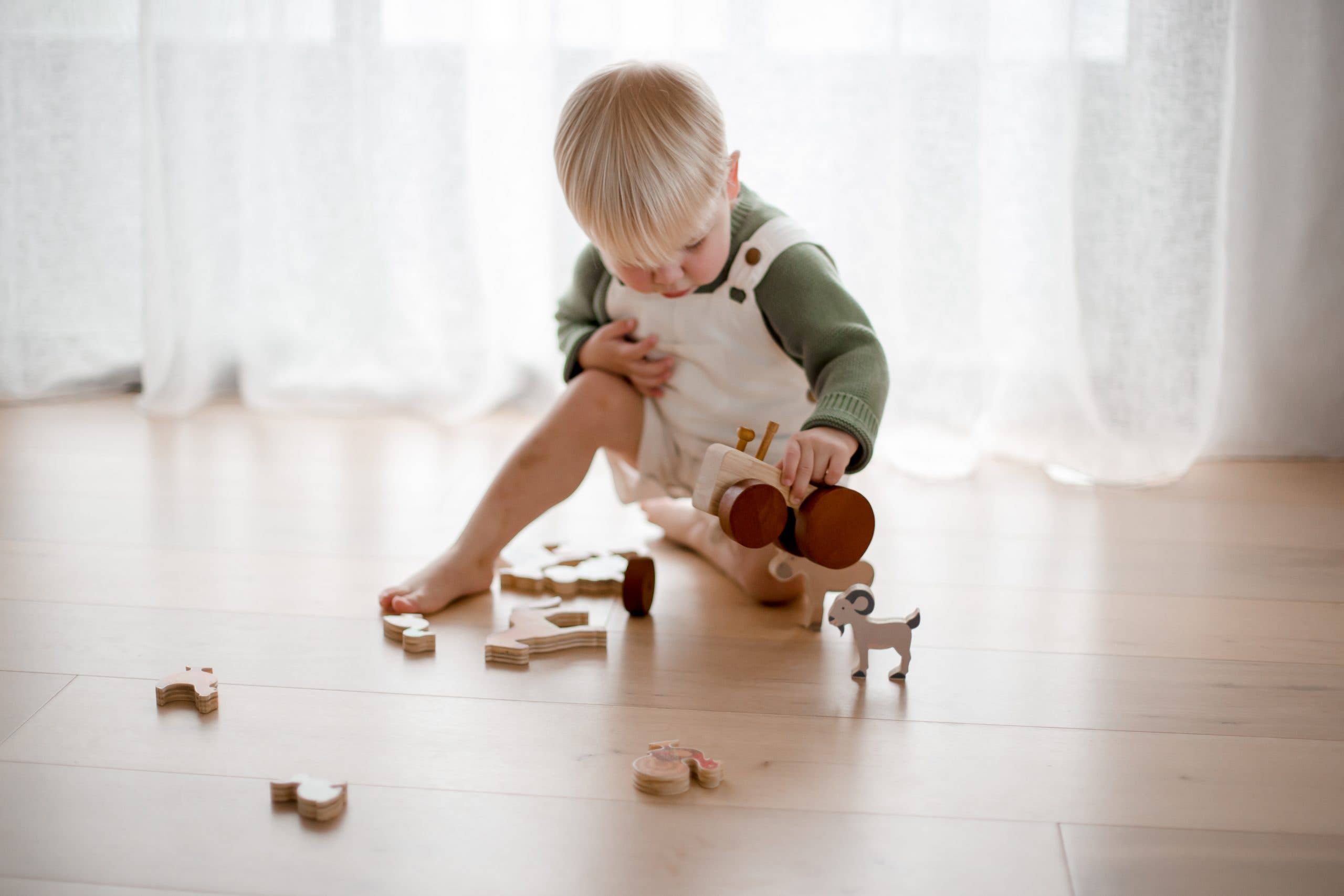 QToysUSA - Wholesale Toy Set - Kids - Farm Animals & Tractor Set1