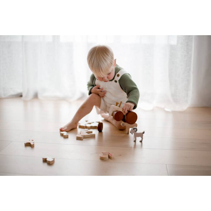 QToysUSA - Wholesale Toy Set - Kids - Farm Animals & Tractor Set1