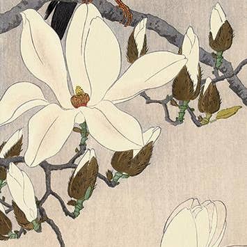 Ohara Koson (Myna On Magnolia Branch) for wholesale by The Art Group