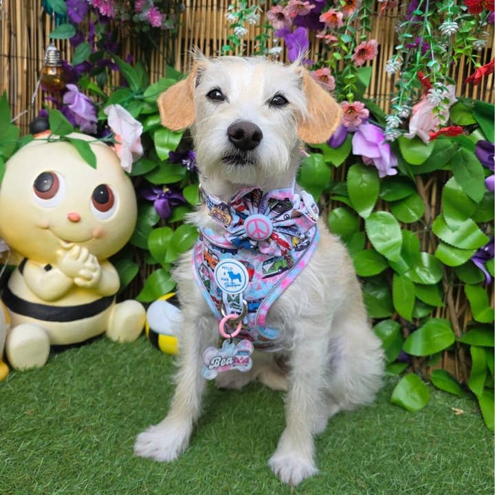 Mylo and Mas Boutique - Wholesale Pet Bow Tie - Dog - Dog Flower Bow - Hippie Van Life4