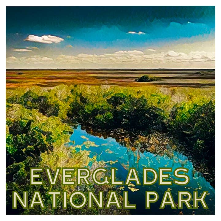 Autocollant Parc National des Everglades pour la vente par PNW Departure