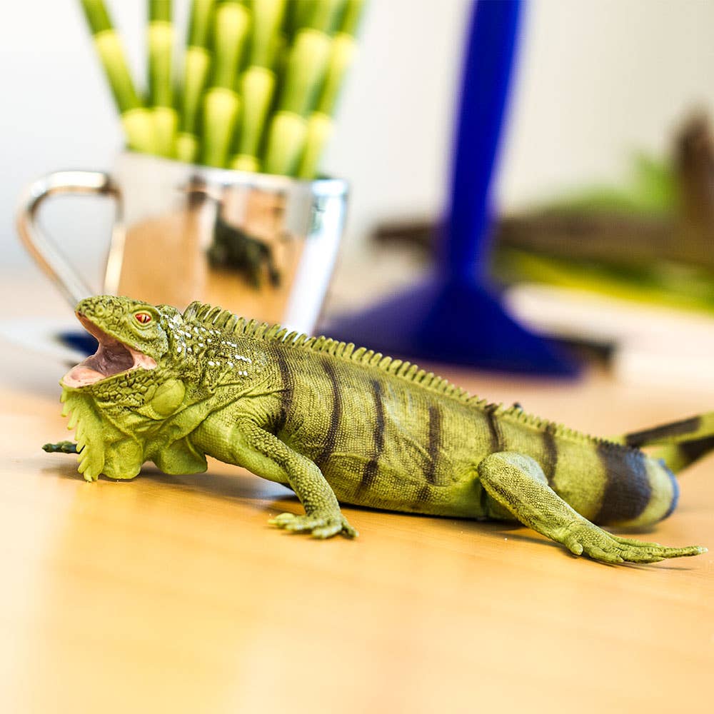 Safari Ltd. - Wholesale Figurine Toy - Kids - Iguana - 2677295