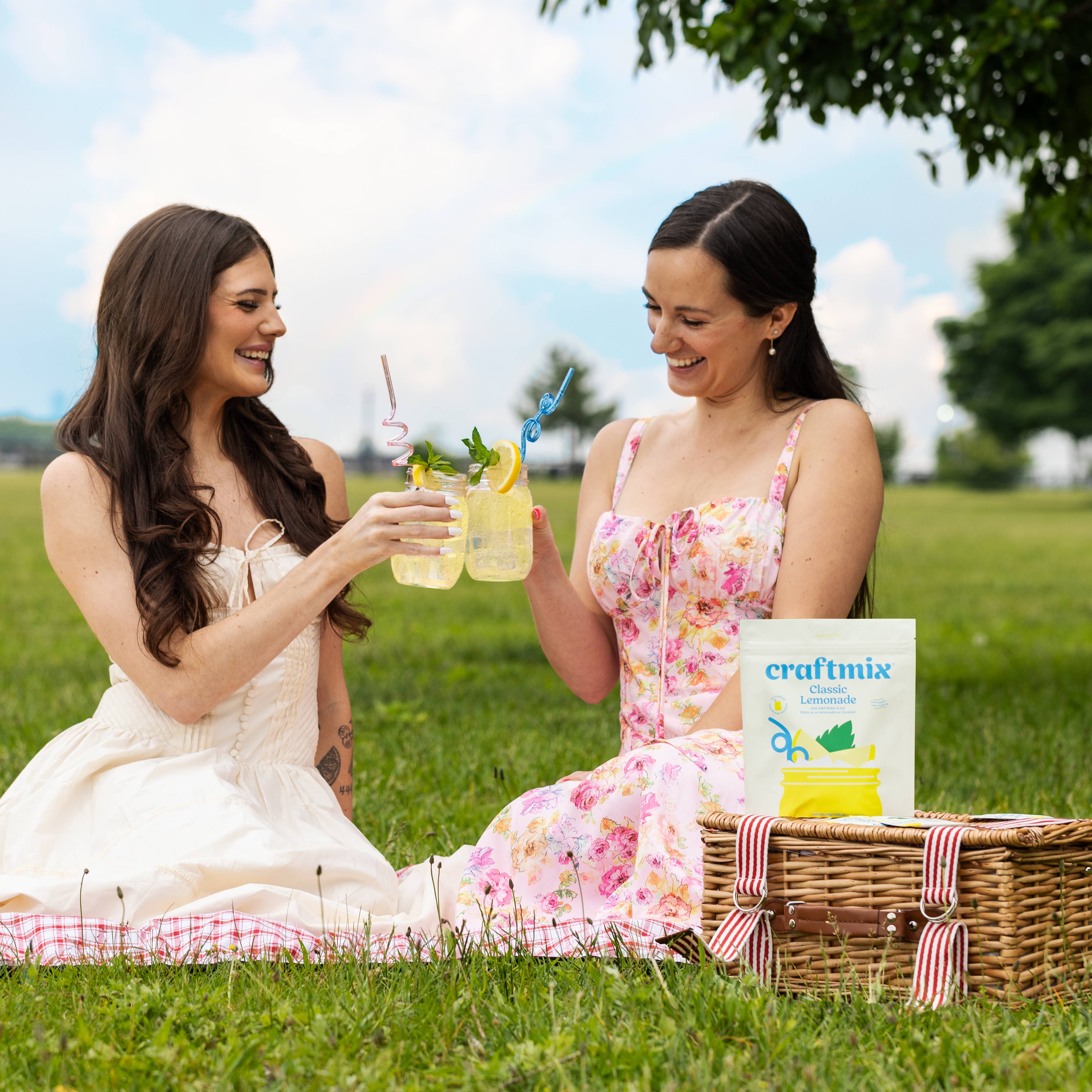 Craftmix - Wholesale Cocktail Mix/Syrup - Classic Lemonade & Cocktail/Mocktail Mixer - Single Packets4