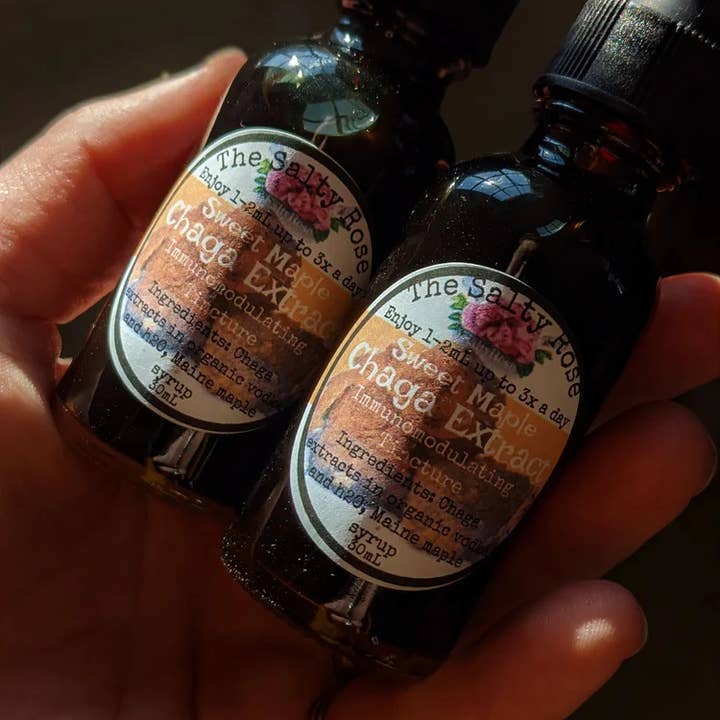 Chaga-Pilz-Tinktur mit Ahorn für den Großhandel von The Salty Rose