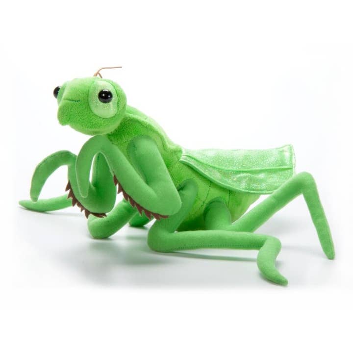 12" (30cm) Wild Onez bönsyrsa insekt för wholesale av The Petting Zoo