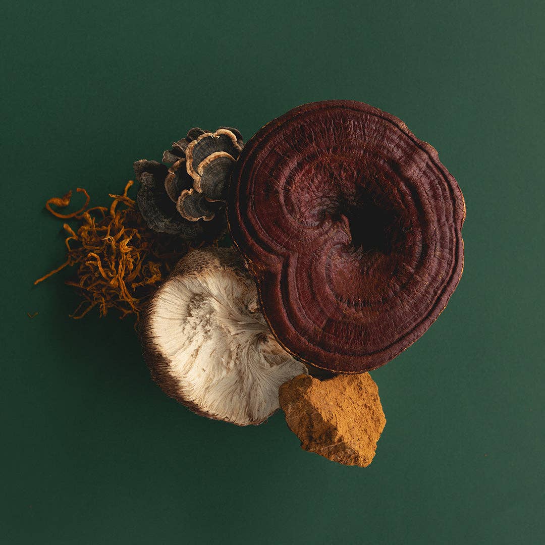 Ode Health - Wholesale Oral supplement/vitamin - MUSHROOM COMPLEX HONEY PEARLS3