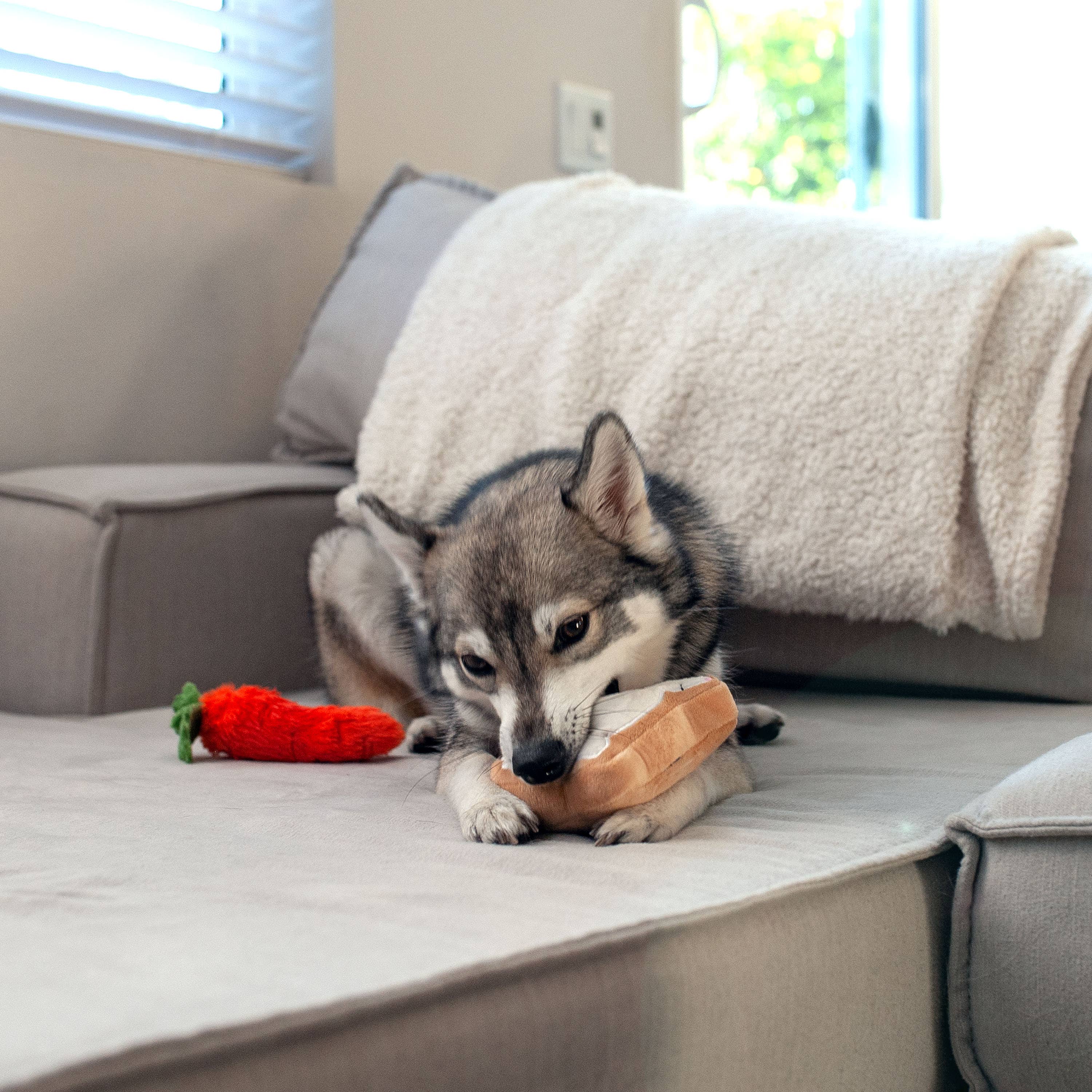 Midlee Designs - Wholesale Speeltje - Hond - Midlee Sugar Cookie Paashaas Hondenspeelgoed12