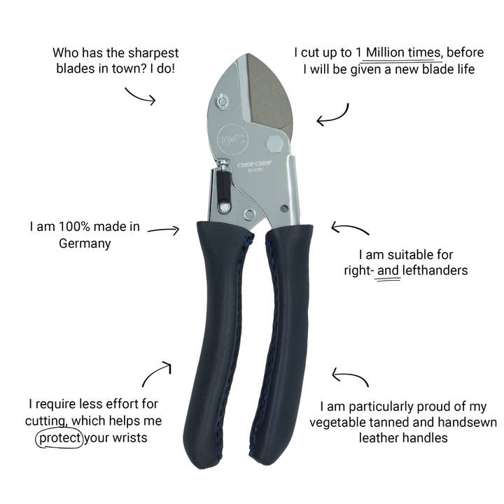 Pavot bleu pour la vente par Chop Chop Bloom