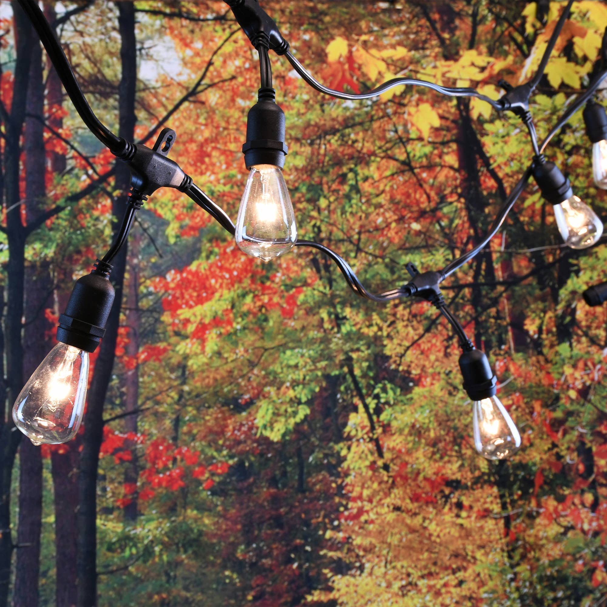LumaBase - Wholesale String Lights - Electric Commercial Grade String Lights with 12 Edison Bulbs2