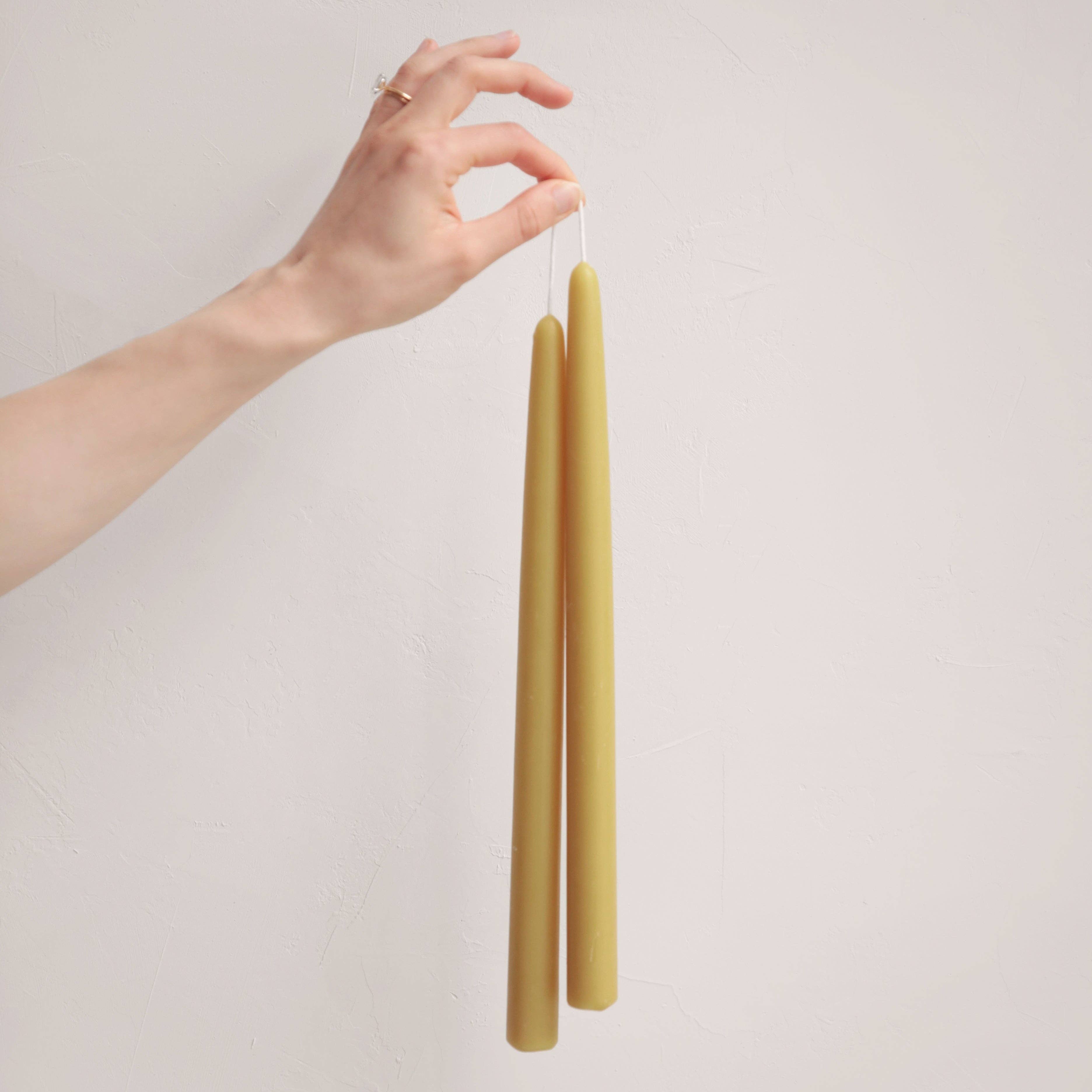 The Floral Society - Wholesale Tapered Candle/Candlestick - 12" Beeswax Taper Candles13