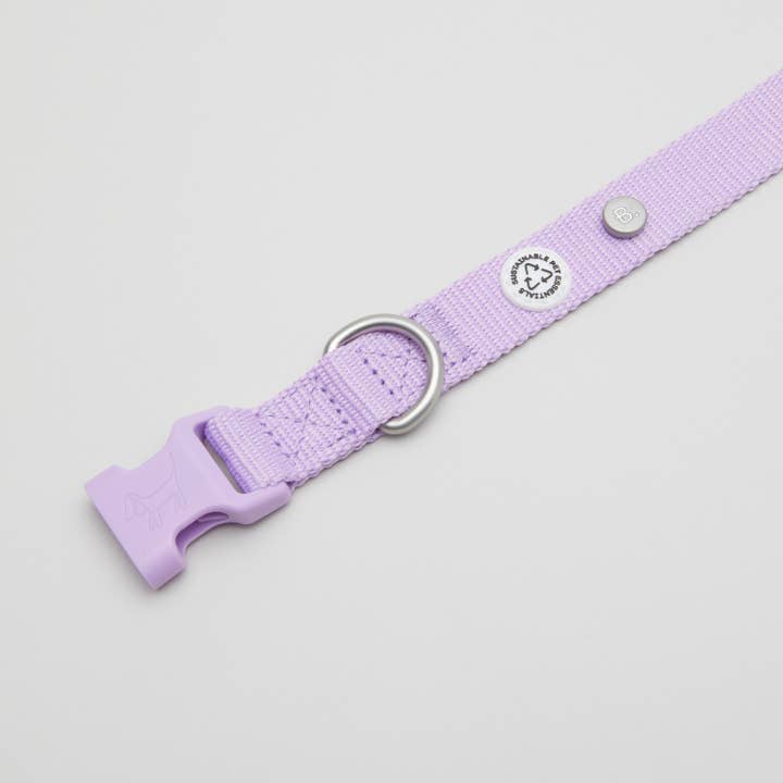 Barkalot - Wholesale Pet Collar - Dog - Lilac Dog Collar1