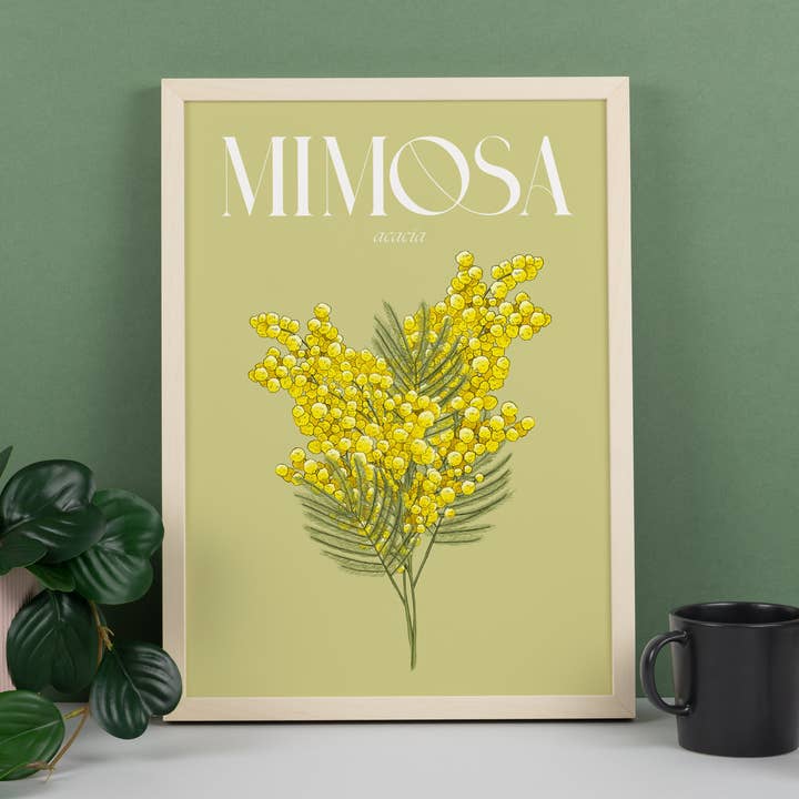 Impression d'art floral illustrée Mimosa pour la vente par Hayley Jade Design Studio