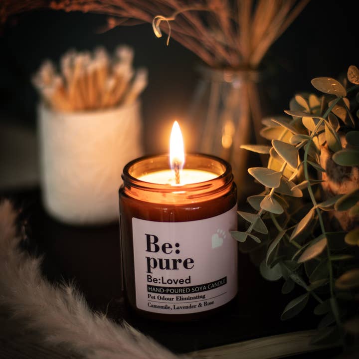 BeLoved, Natural Dog Grooming Products. – Großhandel Kerze im Glas / gefüllte Kerze – Be:Pure Candle — Beruhigende und geruchsneutralisierende Kerze für Hunde1