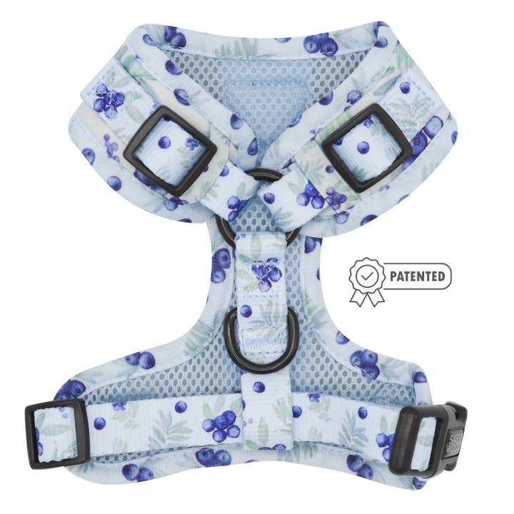 SASSY WOOF - Wholesale Pet Harness - Dog - Dog Adjustable Harness - Berry Sassy (Fruits)2