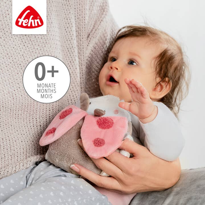 Fehn – Großhandel Kissen – Kinder & Baby – Kirschkernkissen Käfer - mit Wärme-/ Kältesäckchen
